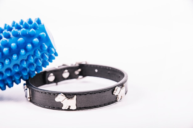 Collares de protección: Más que un adorno, un símbolo de seguridad