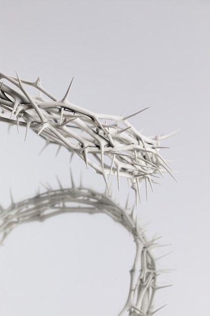 El Significado del símbolo de la planta espina de Cristo: un símbolo de sacrificio y redención