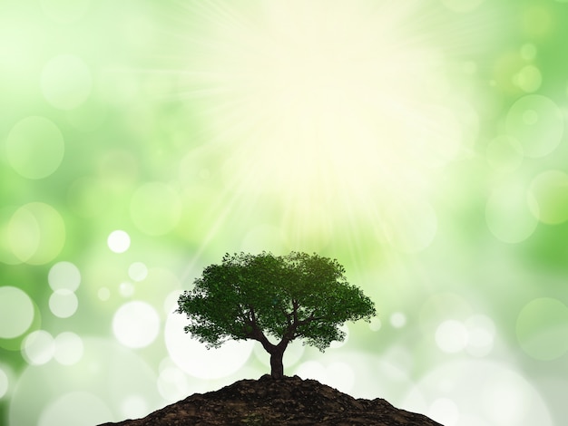 El árbol de la vida en diferentes culturas: conoce las interpretaciones y simbolismos que se le atribuyen en distintas culturas, etnias y religiones.
