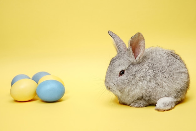 El conejo como símbolo de fertilidad y abundancia
