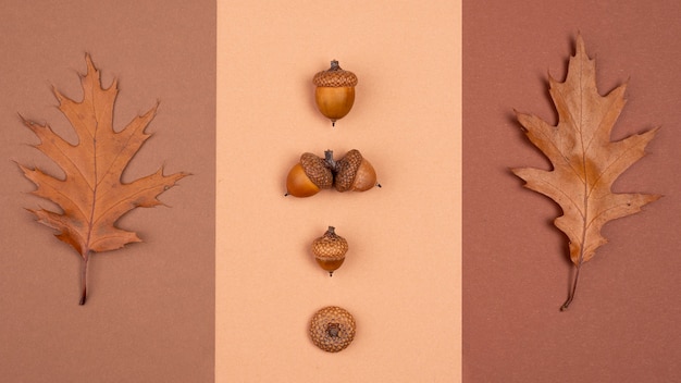 El equinoccio de otoño en diferentes culturas: conoce las diversas interpretaciones y rituales que se celebran alrededor del mundo.