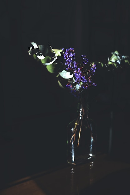 El misterio detrás del símbolo de la flor dama de noche