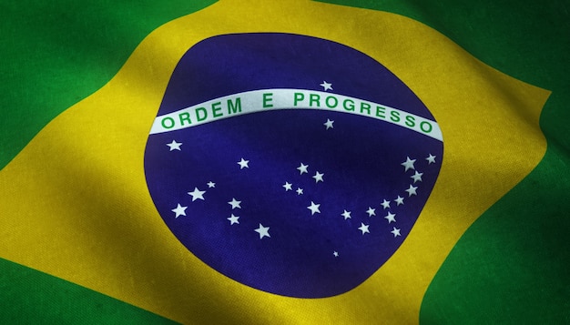 El palo de brasil: un símbolo de prosperidad y protección