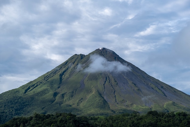 El pico de viuda: un símbolo de luto y empoderamiento