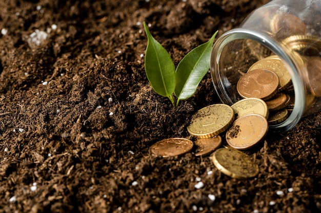 El significado del símbolo de la abundancia y la prosperidad