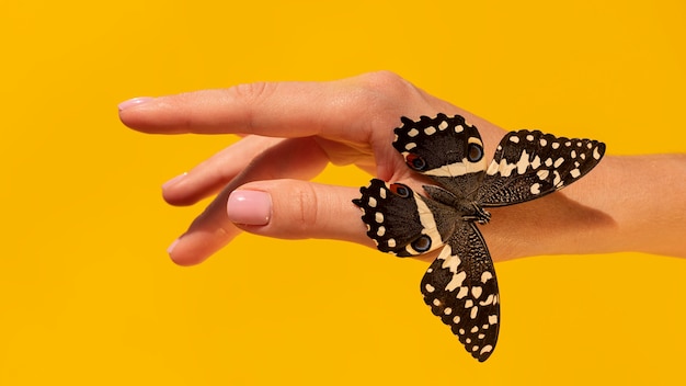 El significado del símbolo de la mariposa amarilla