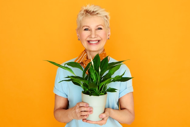 El significado del símbolo de la planta lengua de suegra: protección y sabiduría