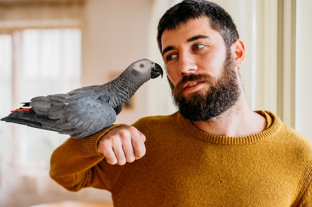 El significado del símbolo de la visita de un pájaro