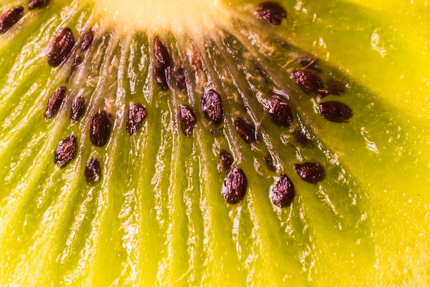 El significado del símbolo de las moscas de la fruta