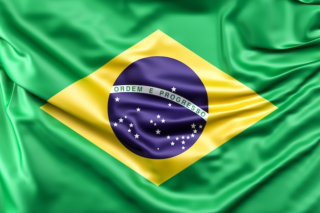 El significado del símbolo del palo de brasil: prosperidad y protección