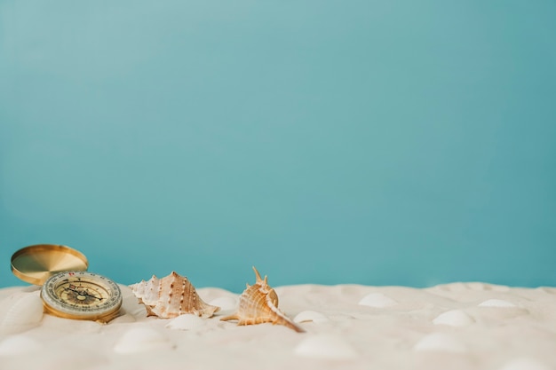El significado místico de las conchas de mar
