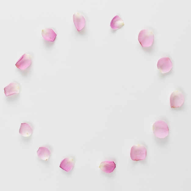 El significado simbólico de los pétalos de rosa: amor, belleza y romance