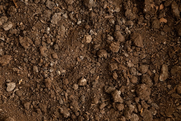 La Tierra como símbolo de vida y fertilidad