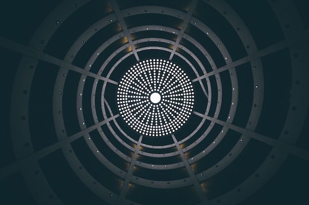 La espiral de Fibonacci: su significado en diferentes culturas y religiones alrededor del mundo.
