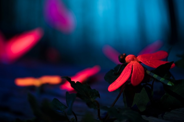 La flor dama de noche: un símbolo de amor y misterio