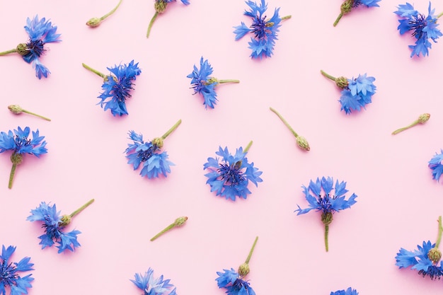 La flor de lino: su significado y simbolismo en distintas culturas, etnias y religiones