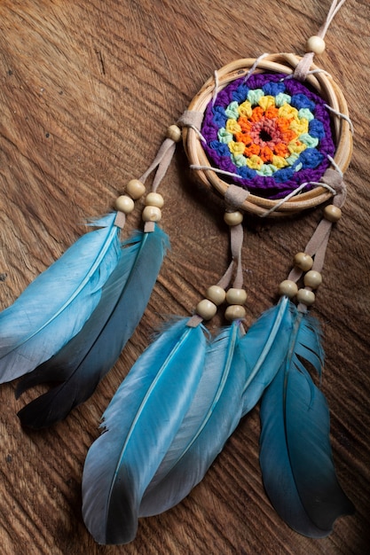 La paloma de collar turca: un símbolo cultural y religioso en distintas culturas, etnias y religiones.