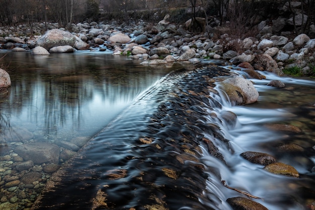 La perla de río: Un símbolo de pureza y renovación