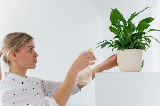 La planta lengua de suegra en diferentes culturas y religiones