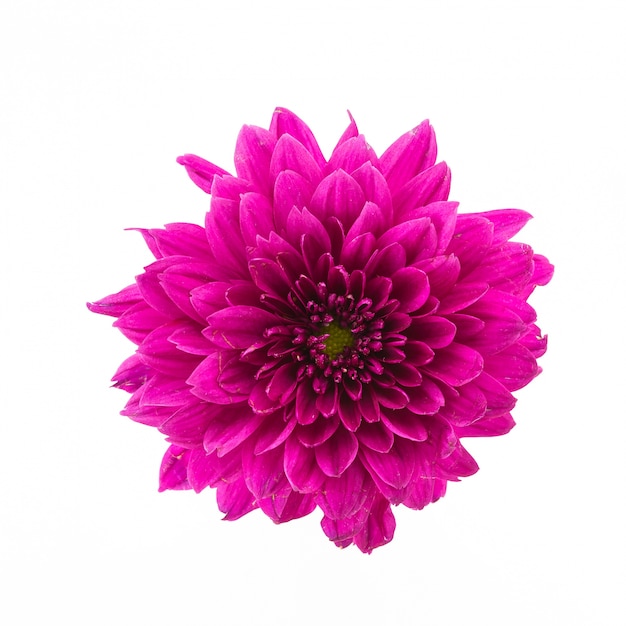 La simbología de las flores en distintas culturas