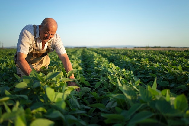 Qué significa soñar con campesino