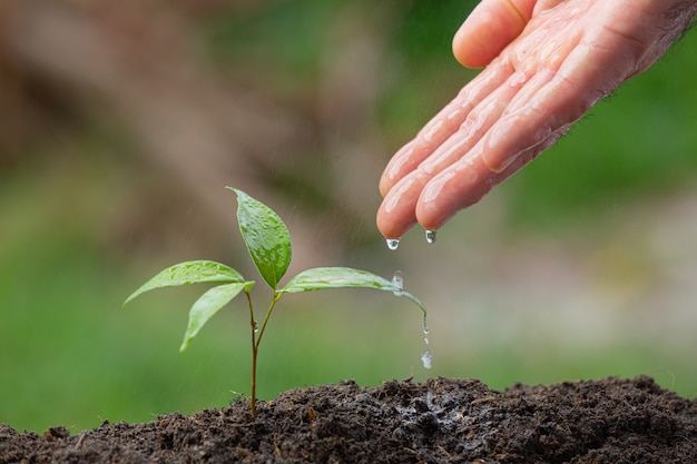 Qué significa soñar con crecer