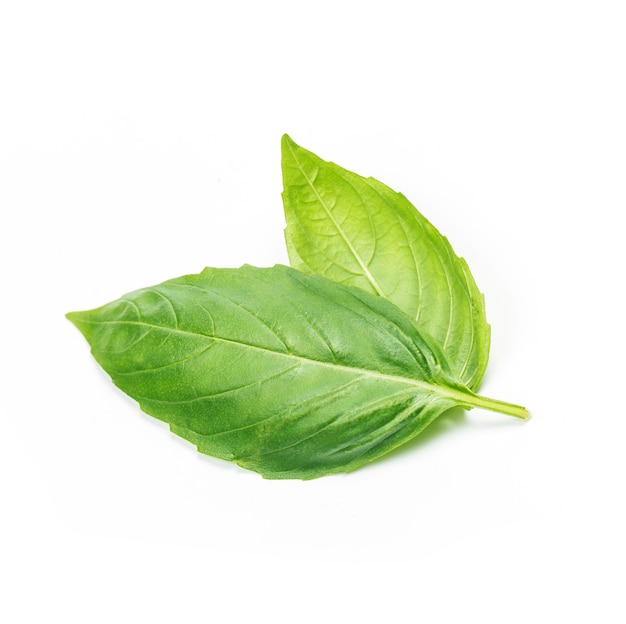 Qué significa soñar con hoja
