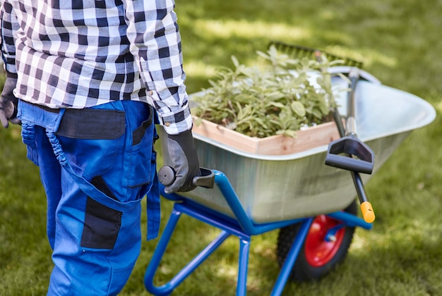 Qué significa soñar con jardinero