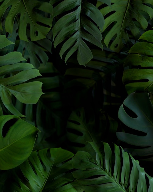 Qué significa soñar con jungla