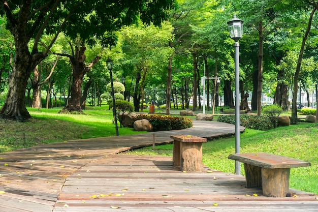 Qué significa soñar con parque
