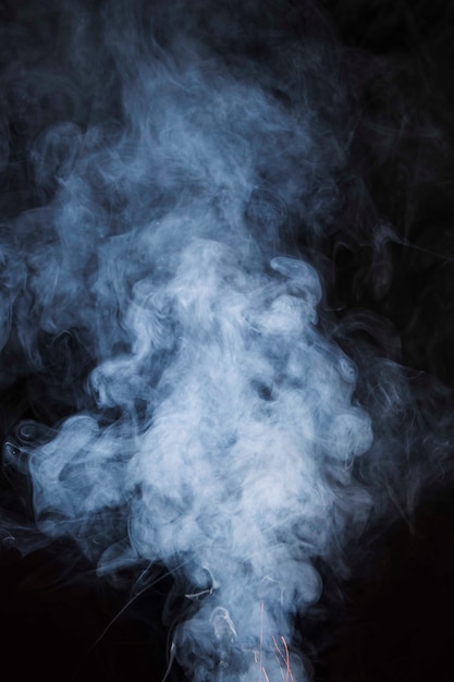 Qué significa soñar con penacho