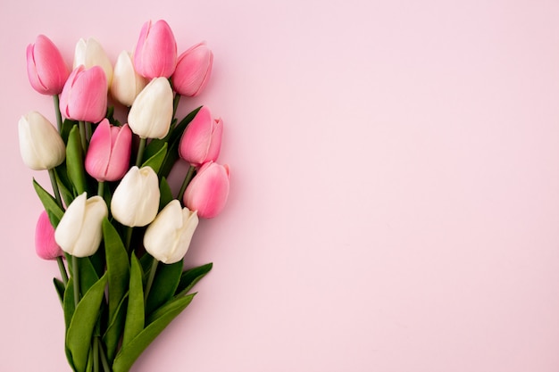 Qué significa soñar con tulipán