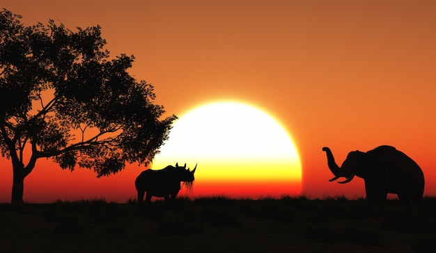 Significado de soñar con áfrica