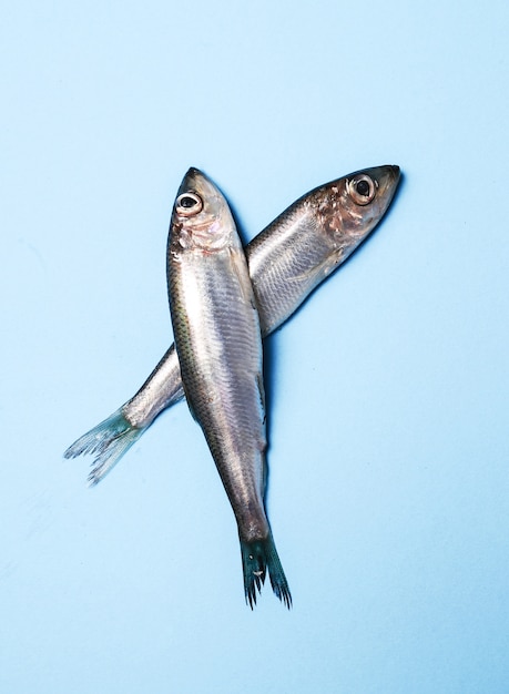 Significado de soñar con anchoa