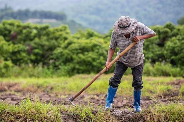 Significado de soñar con campesino