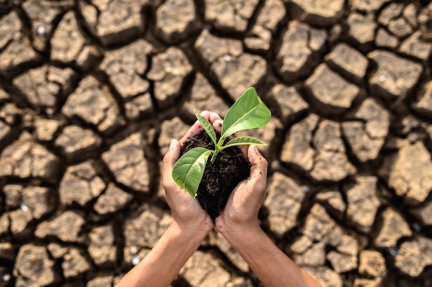 Significado de soñar con clima