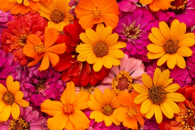 Significado de soñar con flores