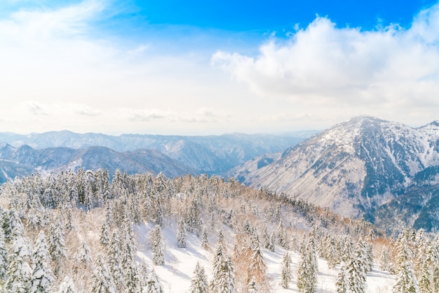 Significado de soñar con invierno