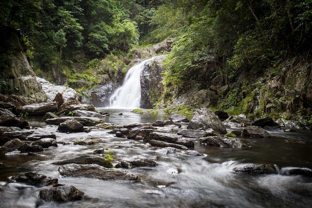 Significado de soñar con linchamiento