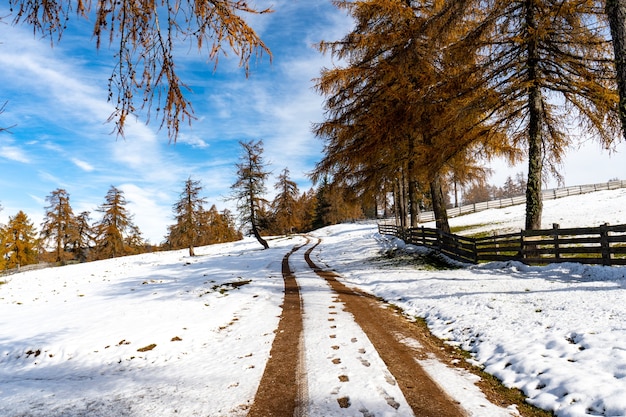 Significado de soñar con nevada