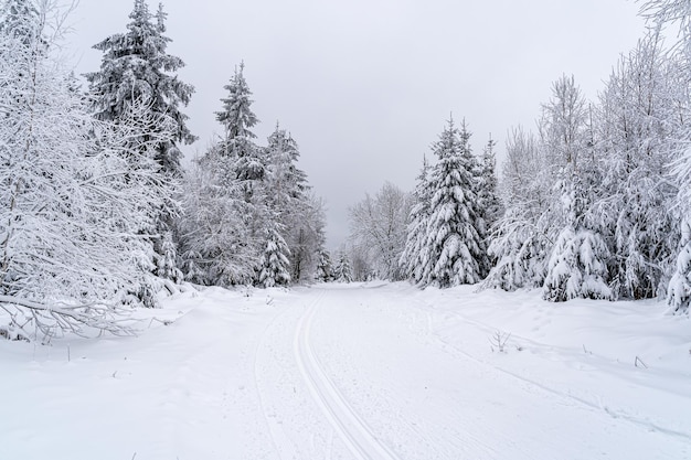 Significado de soñar con nieve