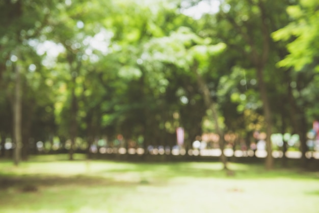 Significado de soñar con parque