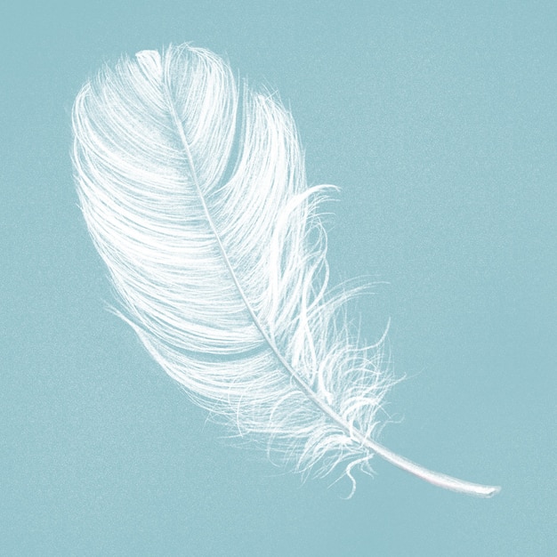 Significado de soñar con pluma