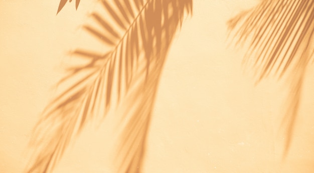 Significado de soñar con verano