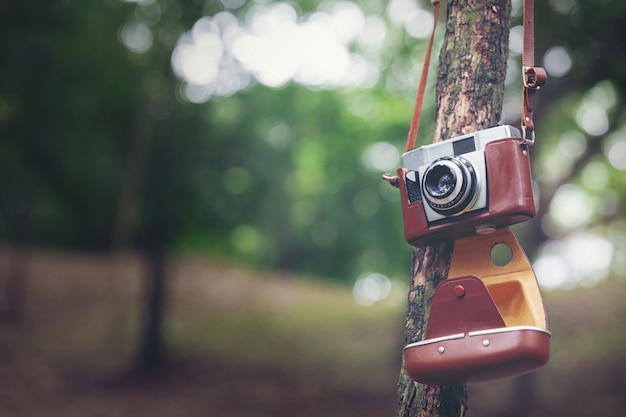 Variaciones de los sueños de fotografía