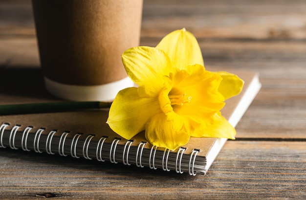 Variaciones de los sueños de narciso